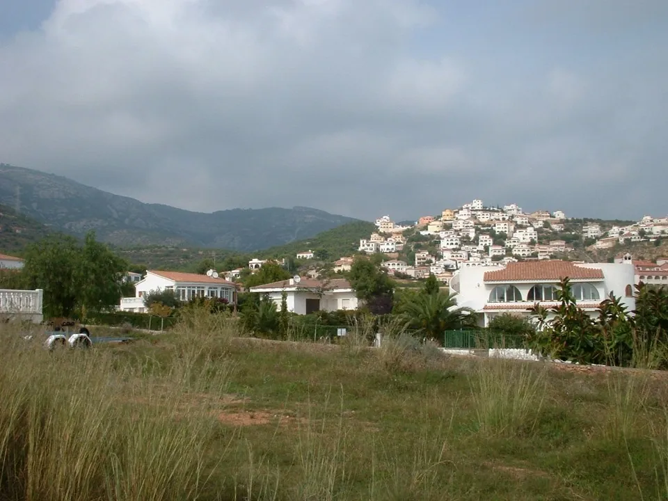 Panaramic ii